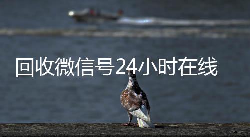 回收微信号24小24小时收微信时在线秒结（回收微信号网站）